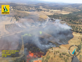 Extremadura registra 37 incendios forestales en la úlltima semana