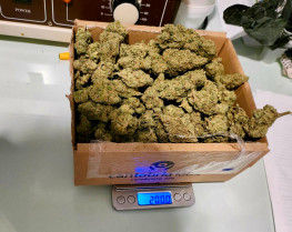 Una joven detenida en Navalmoral tras ser interceptada con 200 gramos de marihuana