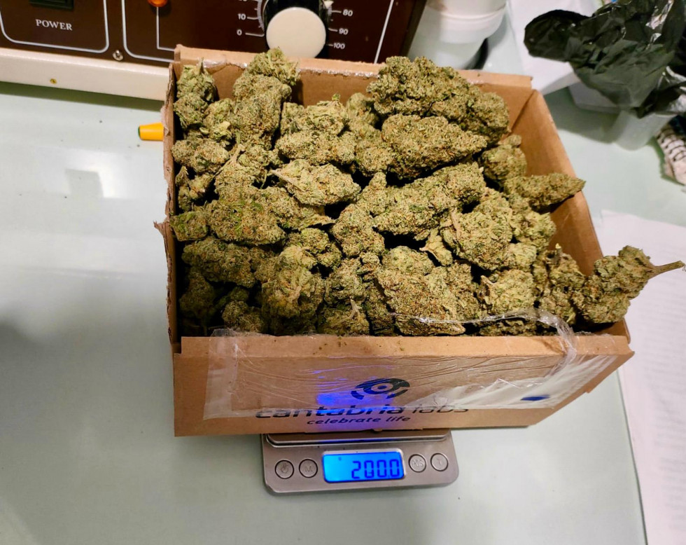 Una joven detenida en Navalmoral tras ser interceptada con 200 gramos de marihuana