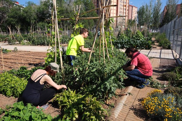 Abierto el plazo para acceder a uno de los más de 30 huertos urbanos de Cáceres