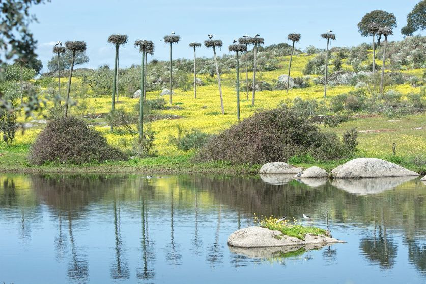 Malpartida de Cáceres realizará dos obras de mejoras en recursos medioambientales