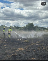 INFOEX y SEPEI contienen dos incendios peligrosos en Millanes y Valdeobispo