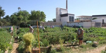 El Ayuntamiento de Cáceres recibe 201 solicitudes para las 31 plazas de los huertos urbanos