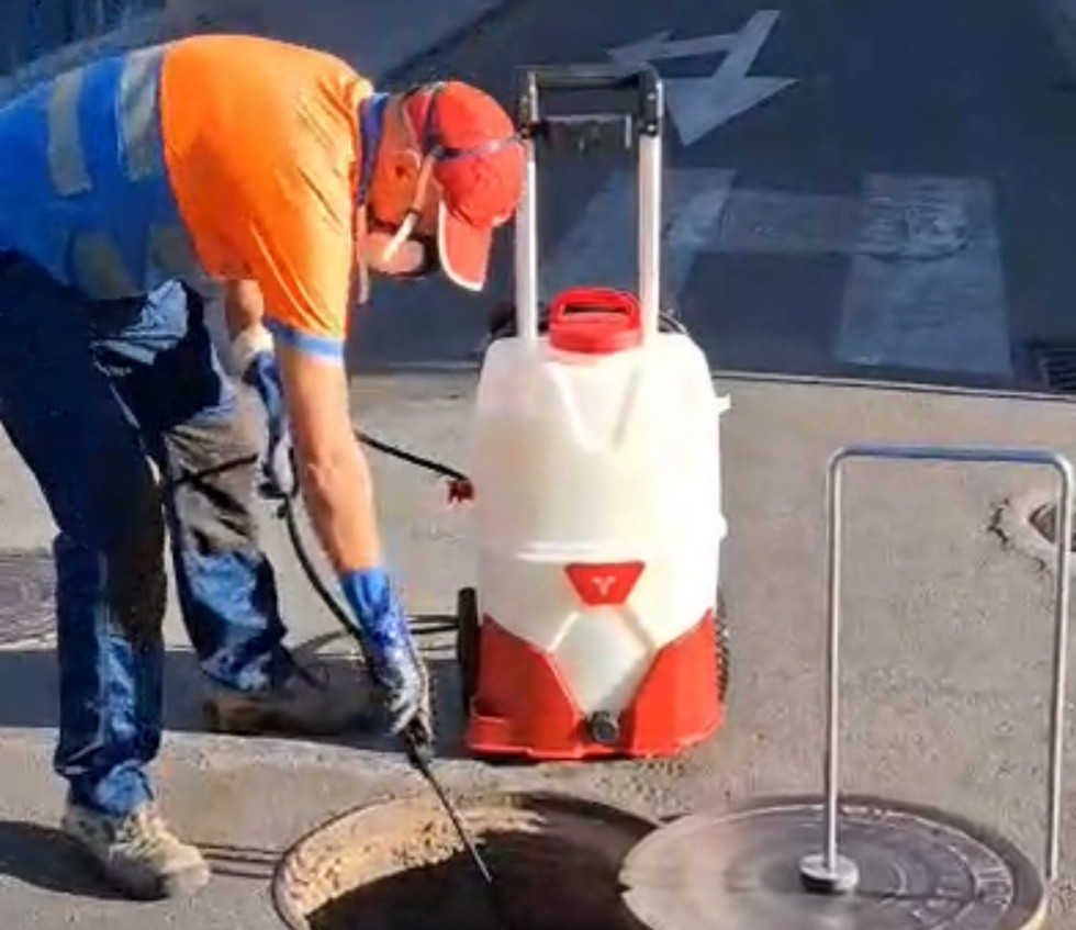 Coria intensifica los tratamientos para erradicar la plaga de cucarachas