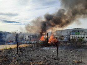 Un incendio en Montehermoso junto a Acenorca vuelve a afectar a la aceitunera