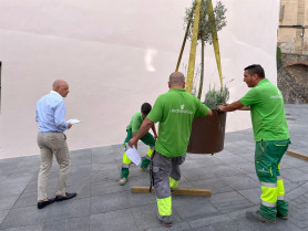 Cáceres instala maceteros para embellecer la Gran Vía y la fachada del ayuntamiento