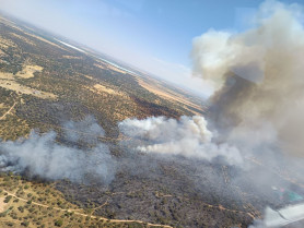 Desactivado un incendio en la dehesa de Tres Arroyos tras amenazar edificaciones