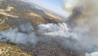 Desactivado un incendio en la dehesa de Tres Arroyos tras amenazar edificaciones