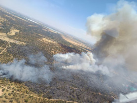 UPA-UCE asegura que el incendio de Valdecaballeros ha calcinado 800 colmenas