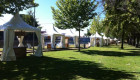 Más de 100 expositores participarán en la XXV Feria Rayana que acogerá Moraleja en agosto
