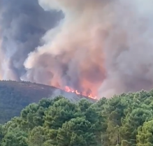Dos incendios forestales obligan a activar el nivel 1 en Caminomorisco y Villanueva de la Serena