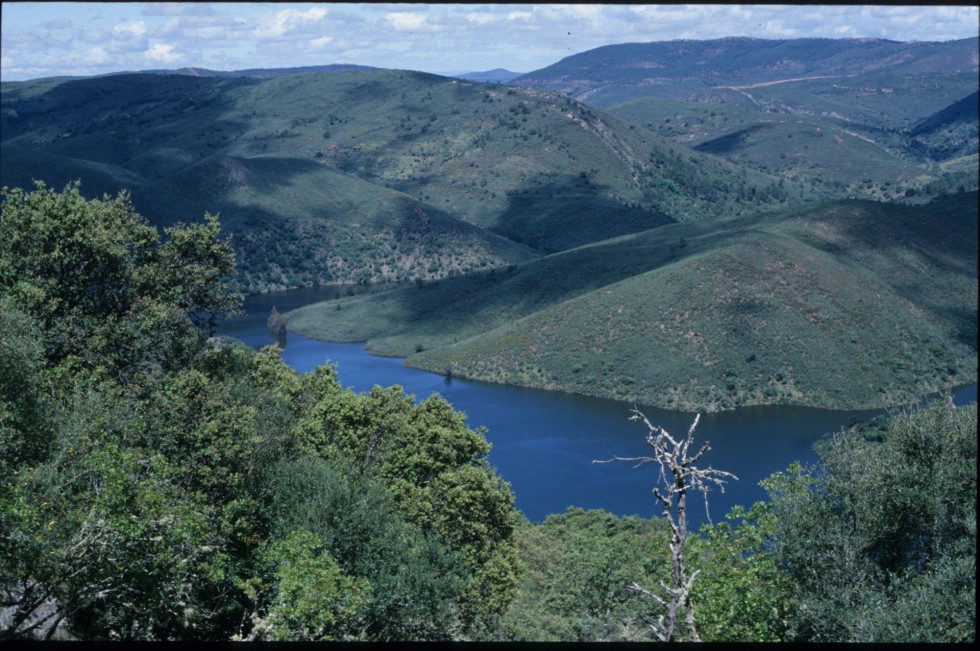 Monfragüe recibirá casi 3 millones de euros para la conservación de la biodiversidad