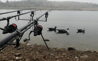 Hornachos acoge el concurso de carpfishing “Los Molinos”