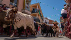 Estas son las imágenes que ganan el concurso fotográfico de San Buenaventura