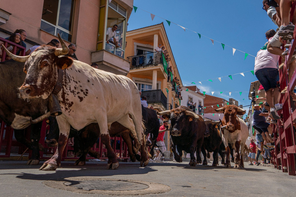 Estas son las imágenes que ganan el concurso fotográfico de San Buenaventura