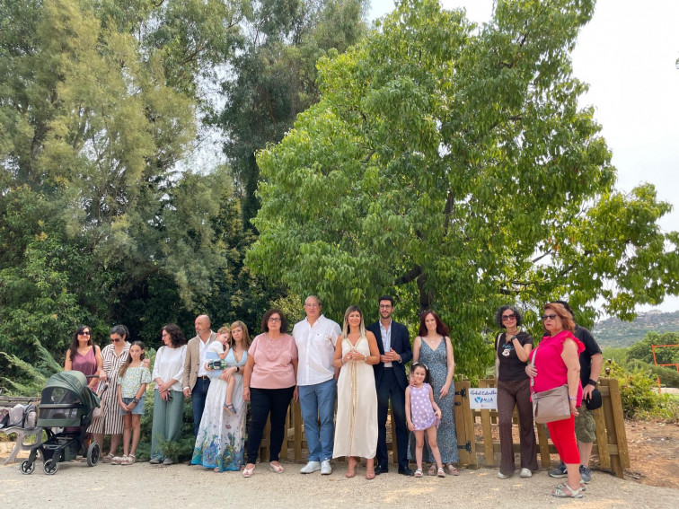 El “Árbol Estrella” de Cáceres, símbolo de consuelo para familias que perdieron a sus bebés