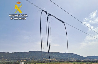 Dos arrestados por el robo de 85 corderos y 8.400 metros de cable de cobre en Baterno