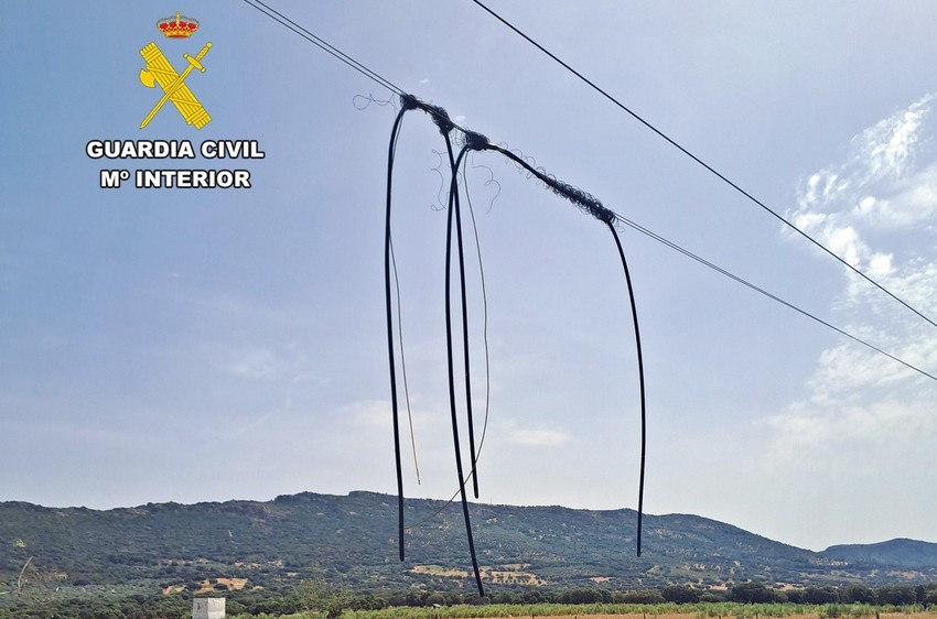Dos arrestados por el robo de 85 corderos y 8.400 metros de cable de cobre en Baterno
