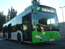 Cáceres invertirá más de 22.000 euros en hacer más accesibles varias paradas de bus