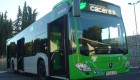 Cáceres invertirá más de 22.000 euros en hacer más accesibles varias paradas de bus