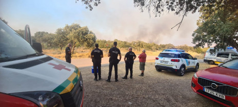 El Infoex declara el nivel 1 por un incendio de pastos en Badajoz