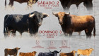 Toros, vaquilla encierros, charanga y Djs este fin de semana en las fiestas de Portaje
