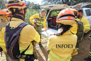 Desactivado el nivel 1 de peligrosidad en el incendio forestal de Benquerencia de la Serena
