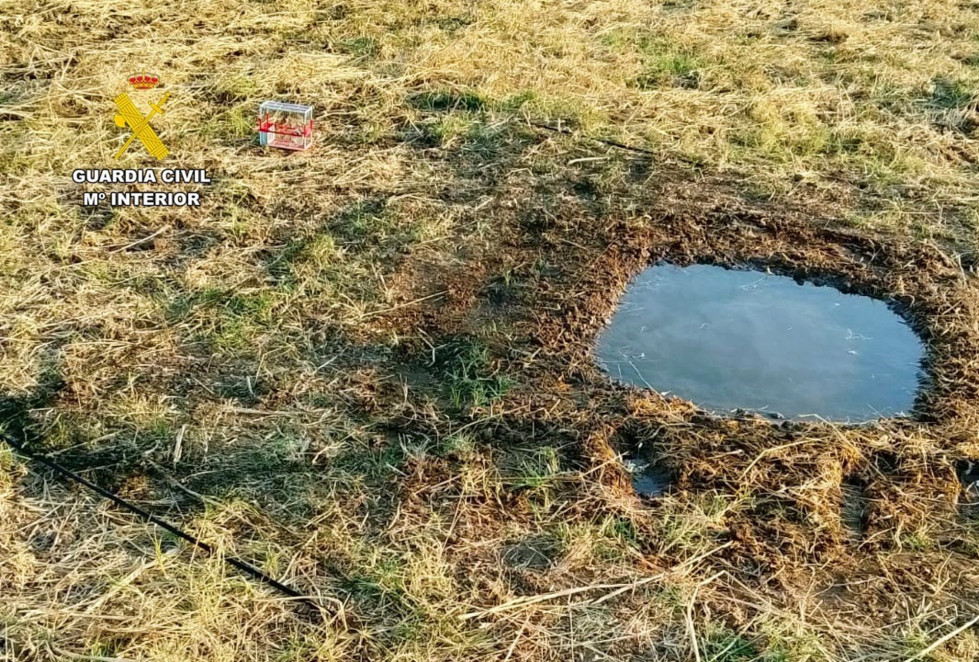 Investigado un vecino de Badajoz por cazar aves con métodos ilegales