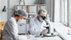 Extremadura lidera un proyecto europeo para revolucionar la gestión térmica en nanoelectrónica