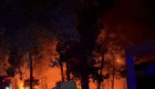 Provocan un nuevo incendio en el pinar de Talayuela justo un año después