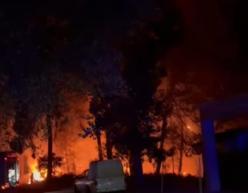 Provocan un nuevo incendio en el pinar de Talayuela justo un año después