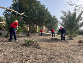 El paro baja en Coria y marca la cifra más baja en 15 años