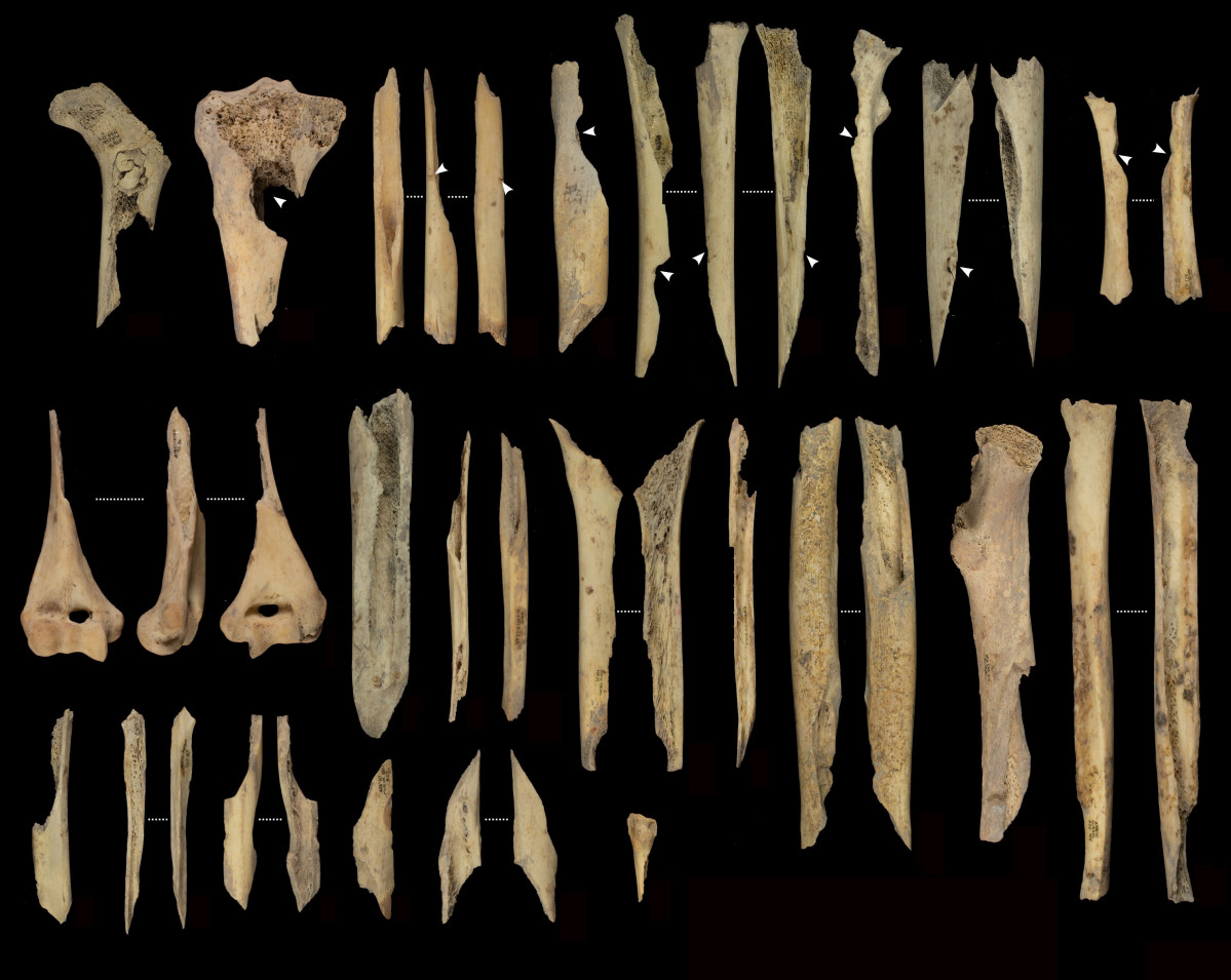 Atapuerca, Mu00e9rida, Canibalismo,