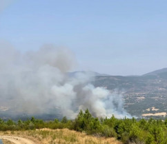 Efectivos del Infoex intentan controlar un incendio forestal en Cilleros