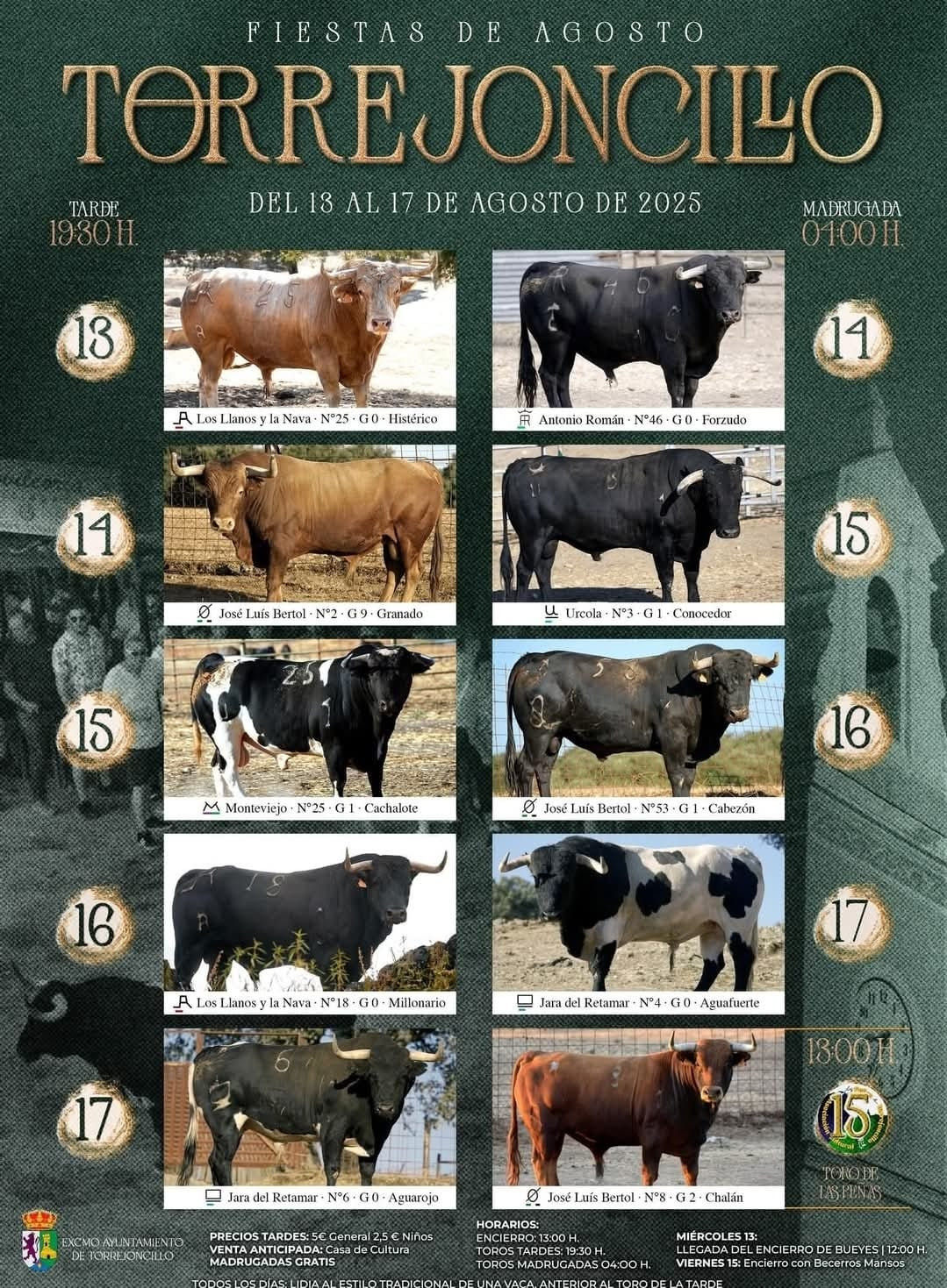 Toros, torrejoncillo, fiestas,