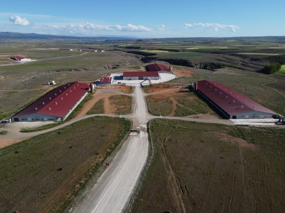El principal proveedor de huevos de Mercadona construirá en Extremadura una granja para 320.000 gallinas
