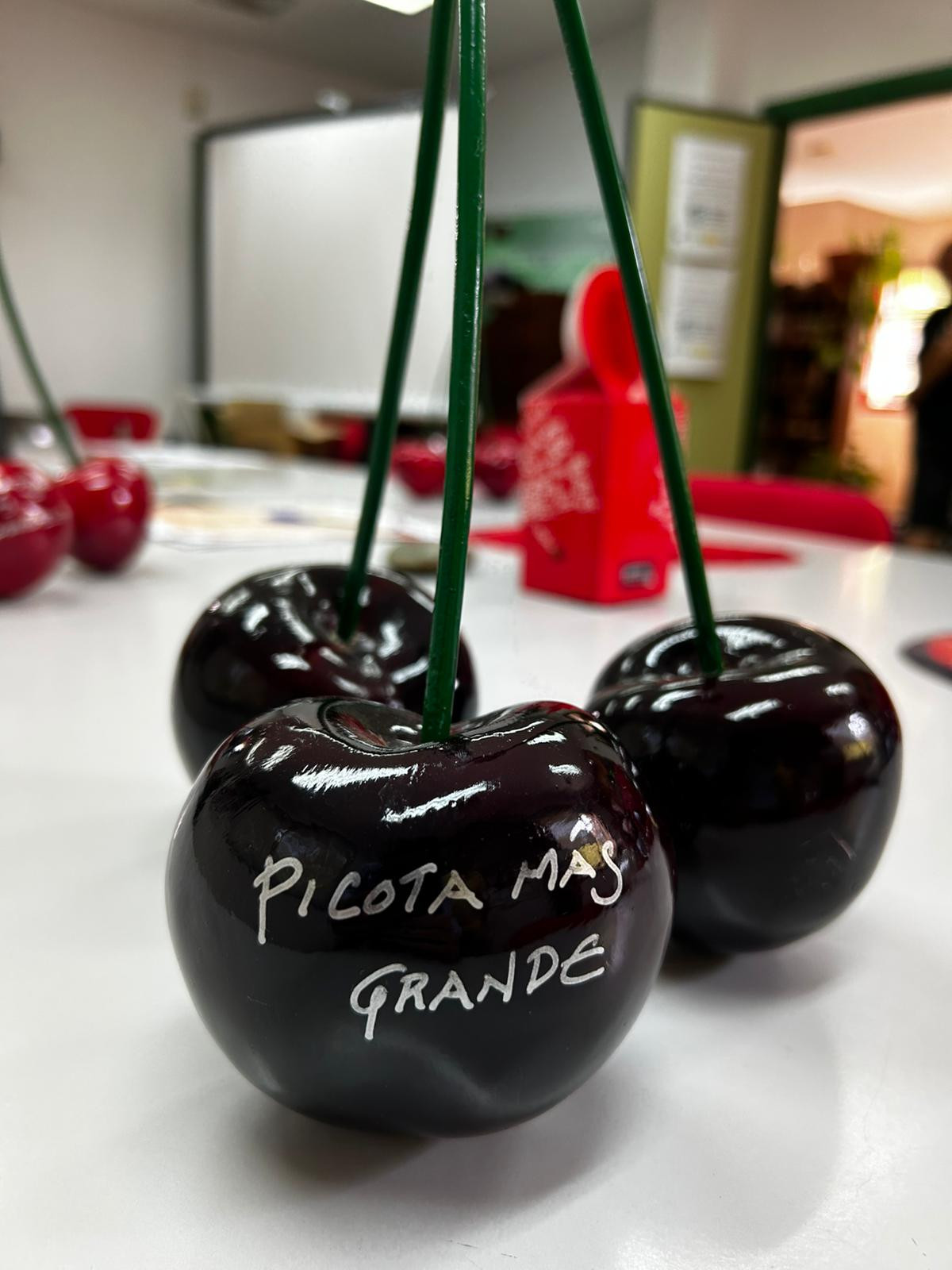 Picota más grande valle del jerte premio