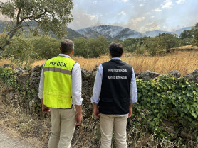 Seis incendios forestales ponen en alerta a Extremadura, los de Jarilla y Las Hurdes los más preocupantes