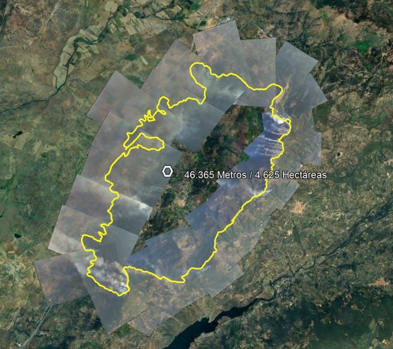 SUPERFICIE CALCINADA INCENDIOS EXTREMADURA