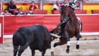 El rejoneador extremeño Leonardo Hernández lidiará en la corrida mixta del domingo en Montehermoso