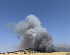 Extremadura combate seis incendios activos y el de Llerena afecta ya a más de 5.800 hectáreas