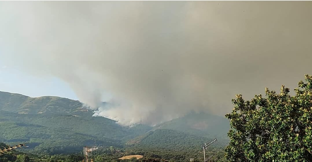 Incendio jarilla
