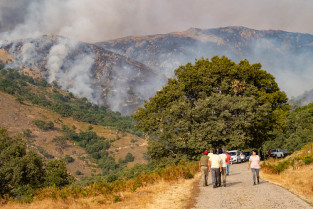 El incendio de Jarilla obliga a evacuar Gargantilla y a confinar a la población de Hervás