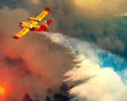 El incendio de Jarilla podría ser consolidado hoy tras más de diez días activo
