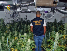 Detenido un hombre por cultivar marihuana y defraudar fluido eléctrico
