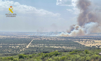 Detenido por provocar dos incendios forestales en Casas de Don Pedro y Herrera del Duque