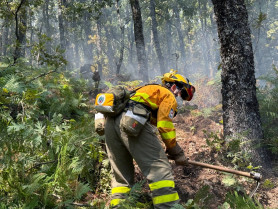 Queda bajo control el mayor incendio de la historia de Extremadura
