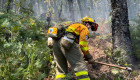 Queda bajo control el mayor incendio de la historia de Extremadura