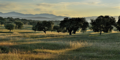 Malpartida de Plasencia, El poder de la dehesa