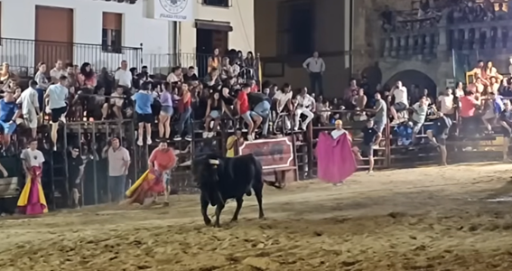 Un herido grave por asta de toro durante los festejos taurinos en Guadalupe